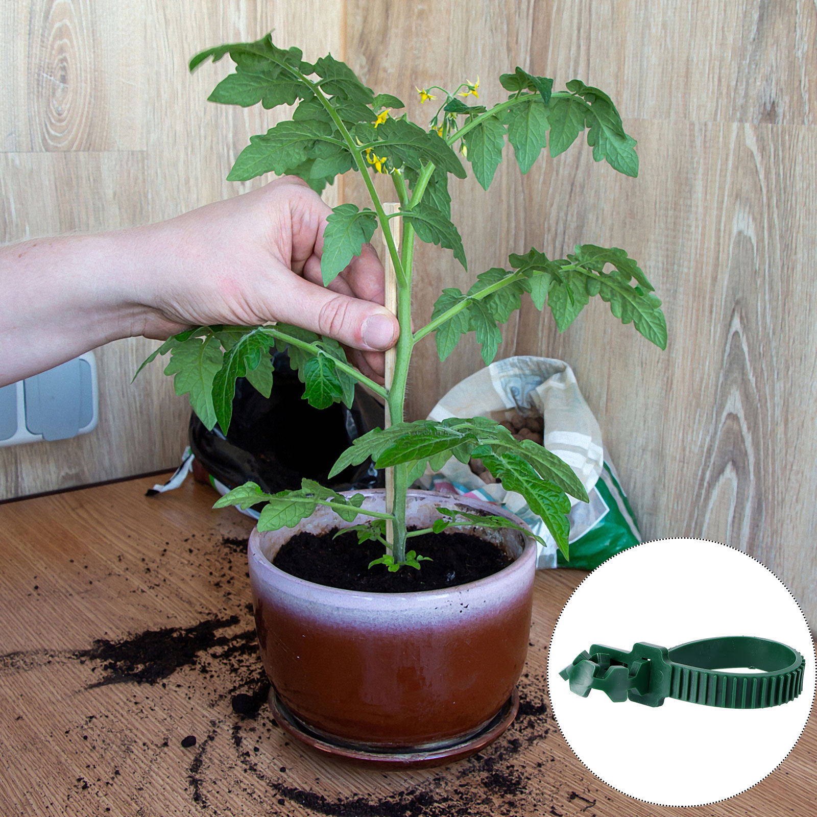 20 szt. klipsów do mocowania p – Plants X recenzja i cena